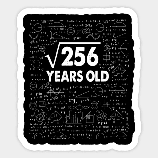 Square Root of 256 16th Birthday 16 Years Old Math Science Lover Gifts Nerdy Geeky Gift Idea Sticker